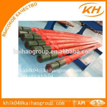 Motor de lodo API Downhole